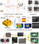 고분자 복합재료 성형 장비 및 평가